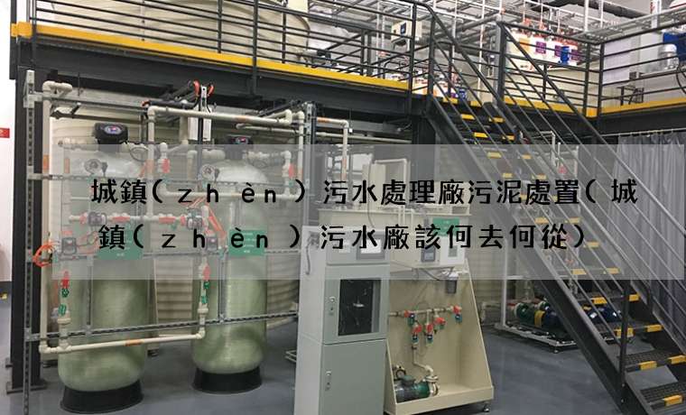 城鎮(zhèn)污水處理廠污泥處置(城鎮(zhèn)污水廠該何去何從)